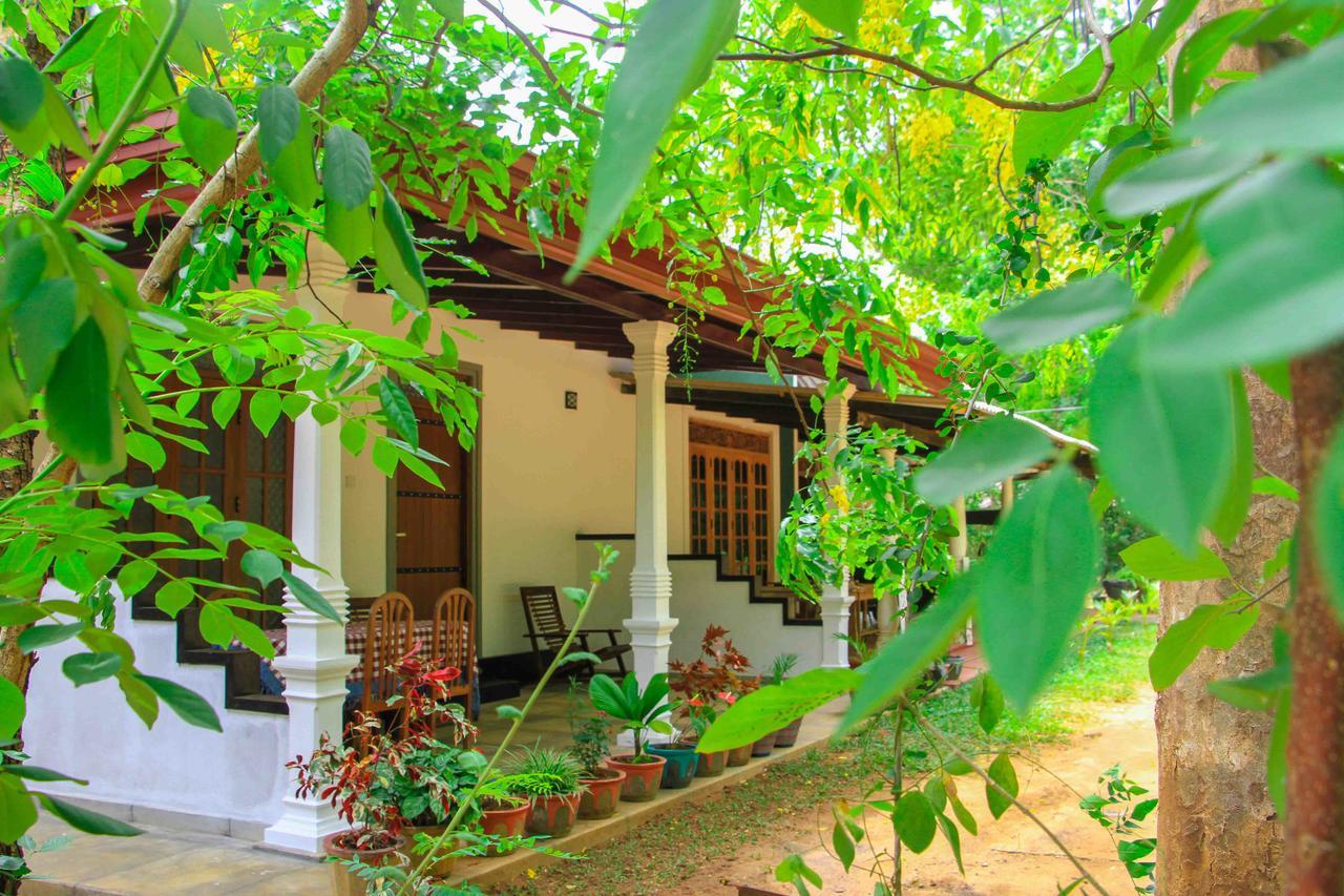 Sigiri Anu Homestay Sigiriya Exterior photo